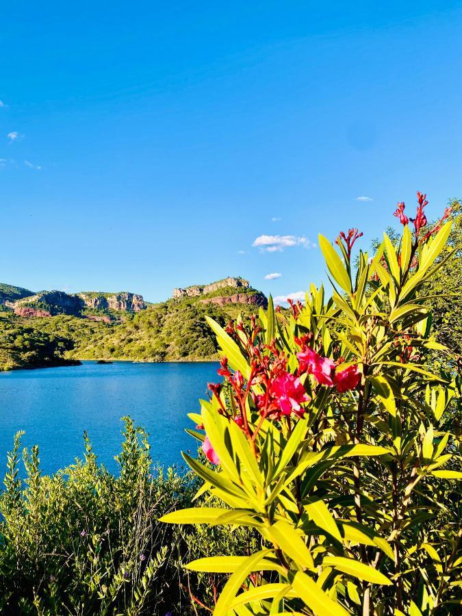 Apartaments Chenin Blanc-Priorat- Cornudella de Montsant Exterior photo